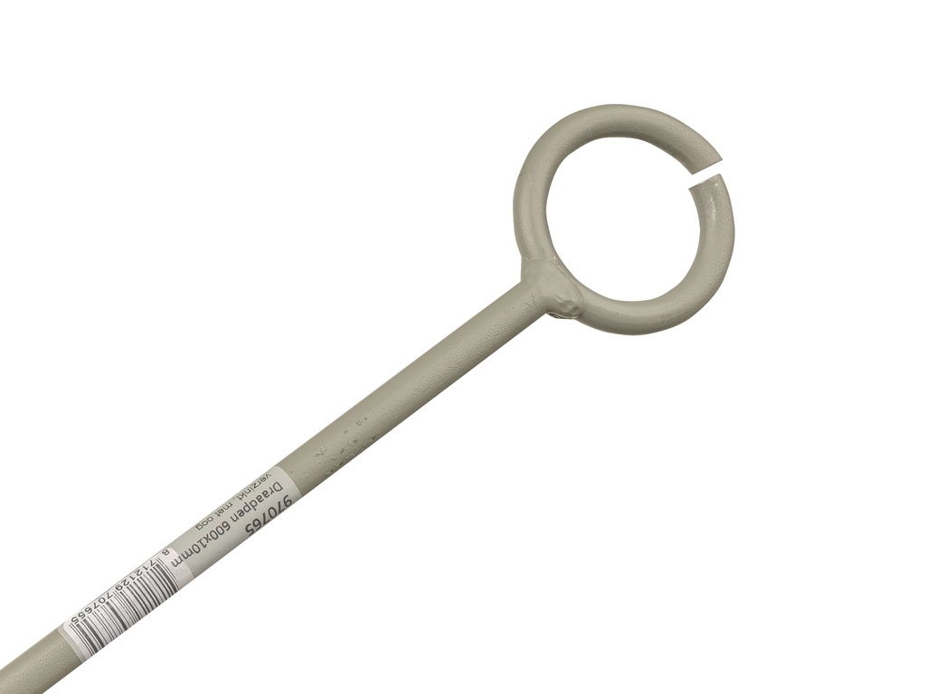 Draadpen LABORA 600 x 10 mm verzinkt, met oog